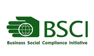 BSCI